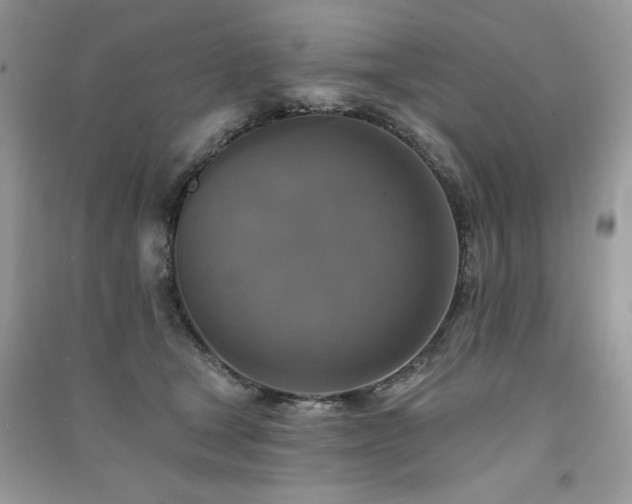 X0000091290465200708101250