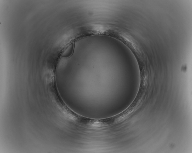 X0000091290467200708101250