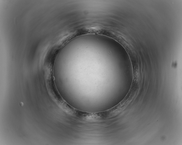 X0000091290468200708101250