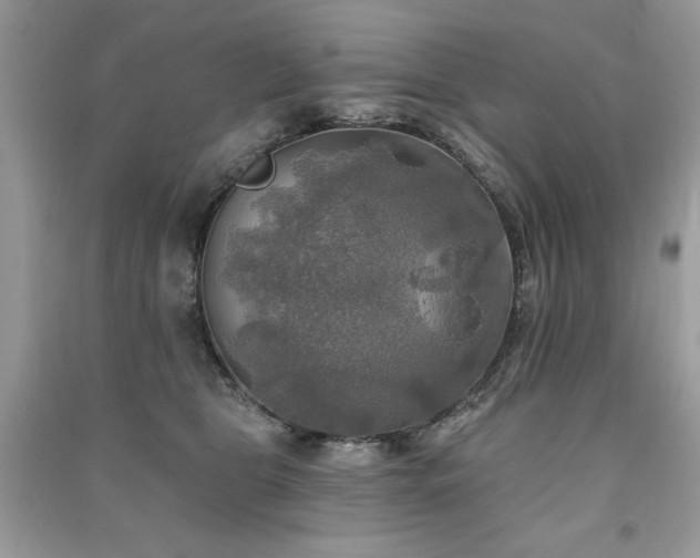 X0000091290469200708101250