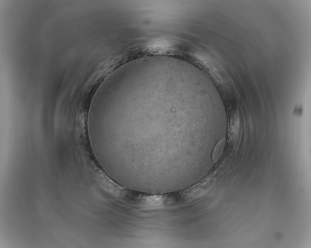 X0000091290473200708101250