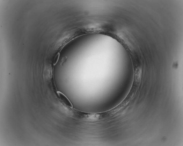 X0000091290474200708101250