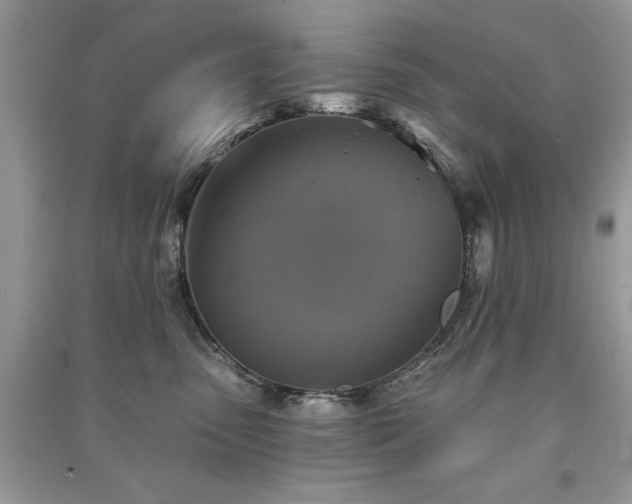 X0000091290475200708101250