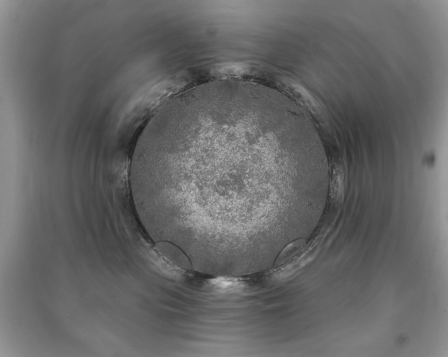 X0000091290477200708101250