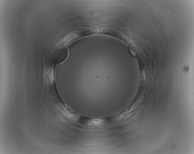 X0000091290479200708101250