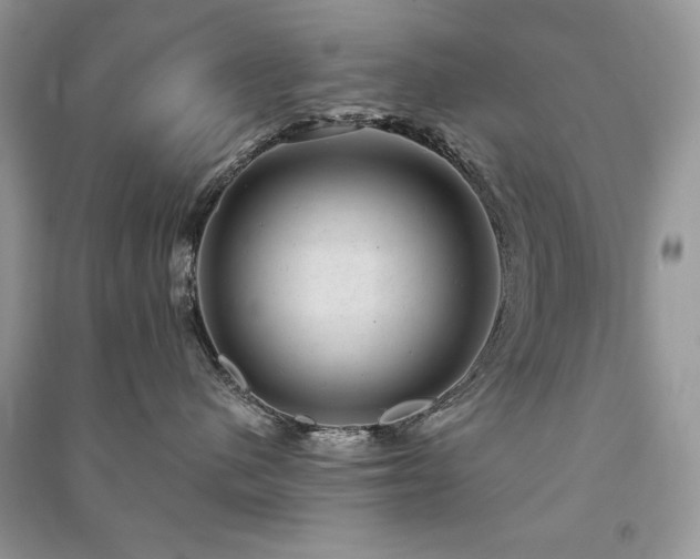 X0000091290480200708101250