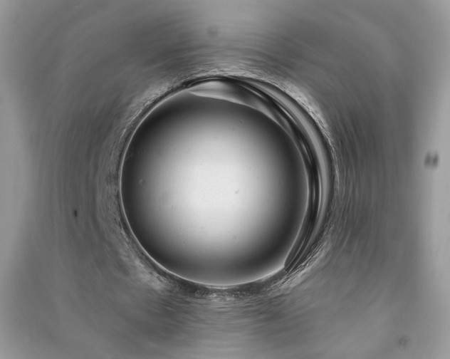 X0000091290481200708101249