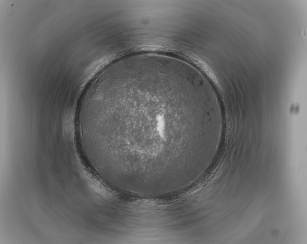 X0000091290482200708101249