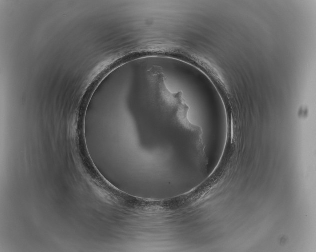 X0000091290483200708101249