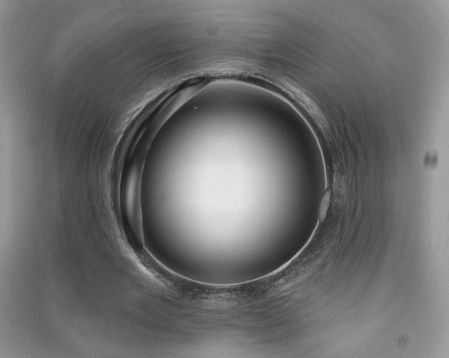 X0000091290485200708101249