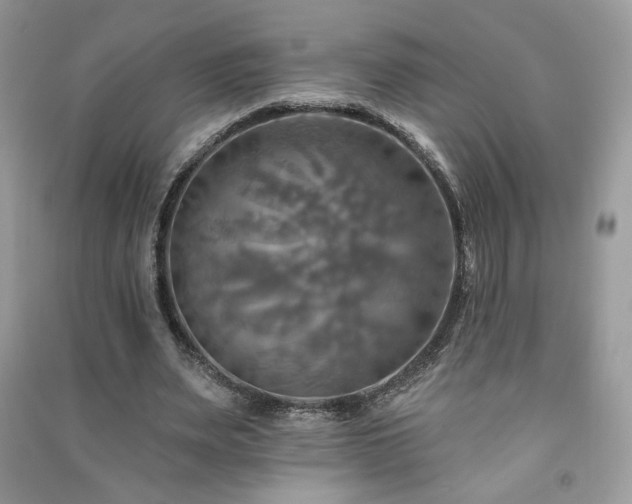 X0000091290487200708101249