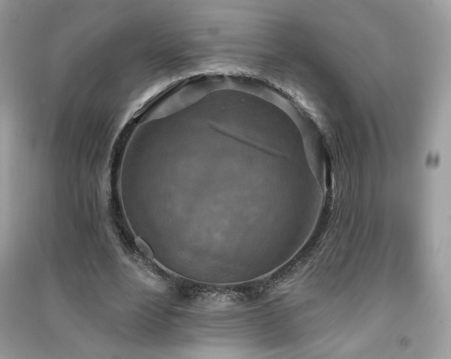 X0000091290488200708101249