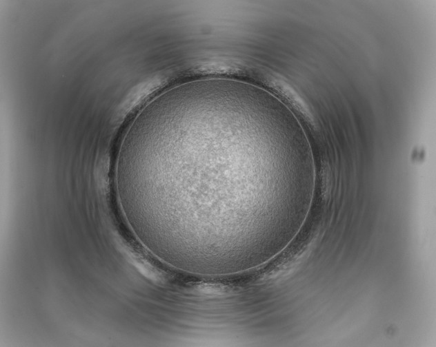 X0000091290490200708101249