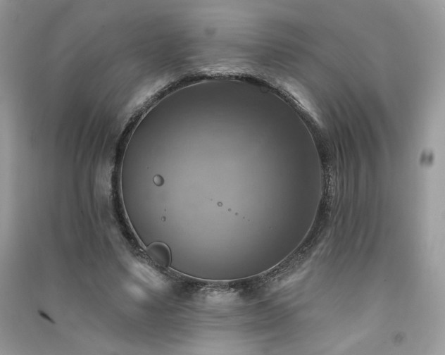 X0000091290491200708101249