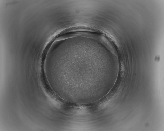 X0000091290492200708101249