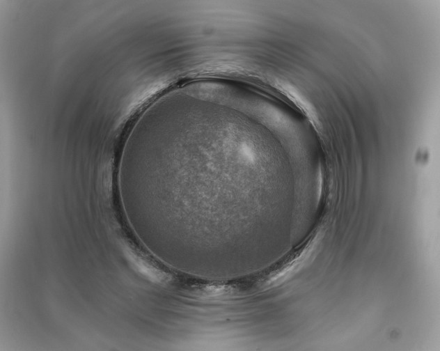 X0000091290493200708101249