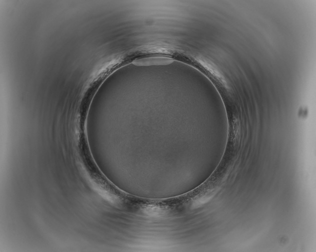 X0000091290494200708101249