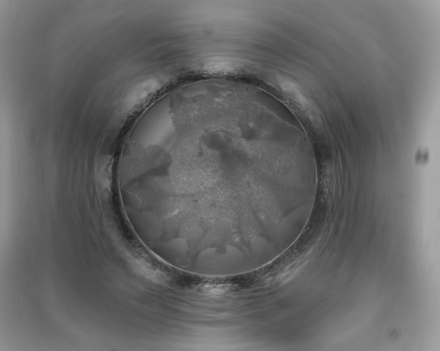 X0000091290495200708101249