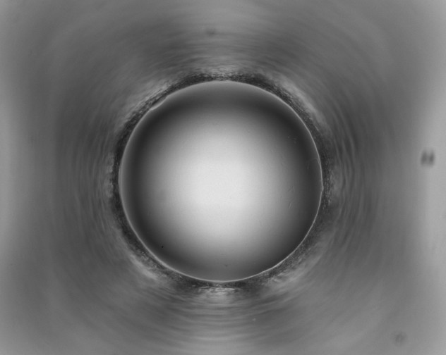 X0000091290497200708101249