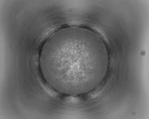 X0000091290498200708101249