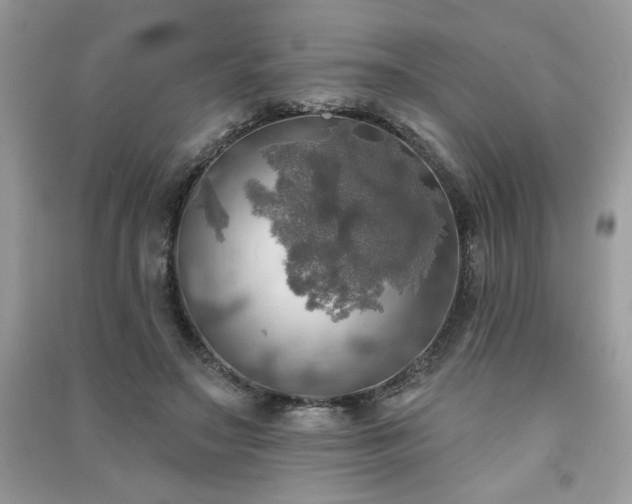 X0000091290499200708101249