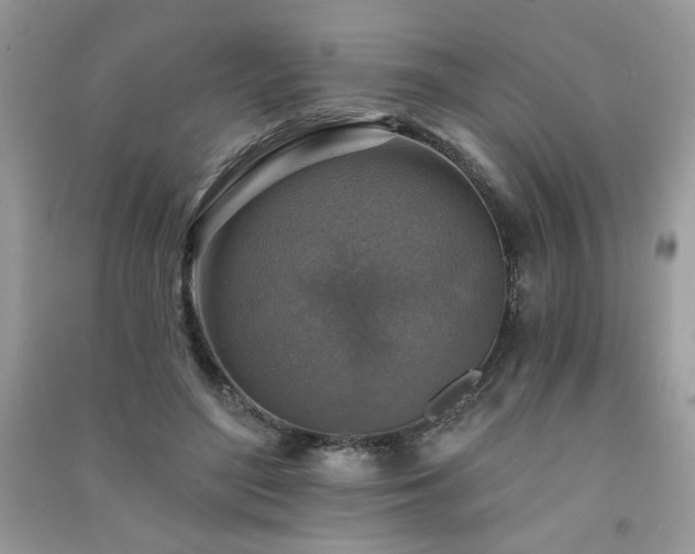 X0000091290500200708101249