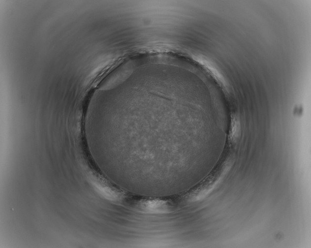 X0000091290501200708101249