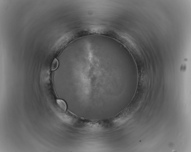 X0000091290502200708101249