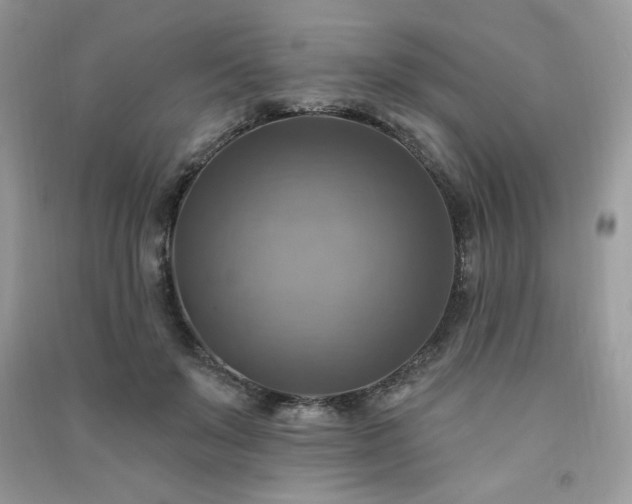 X0000091290503200708101249