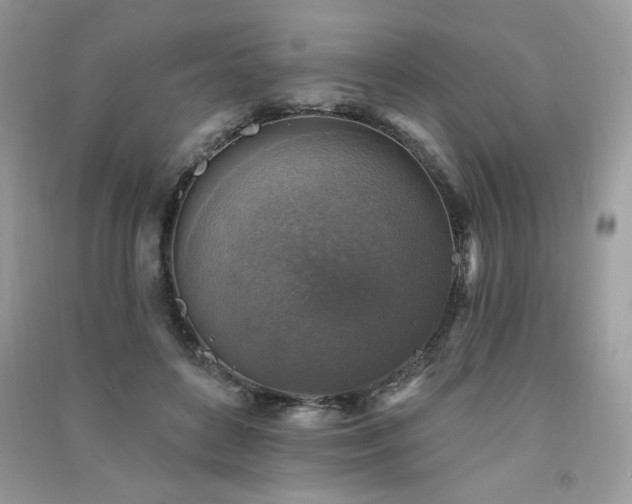 X0000091290504200708101249