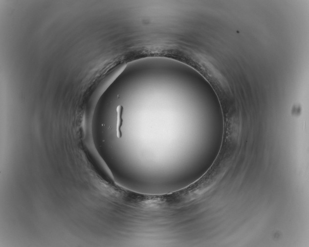 X0000091290505200708101249