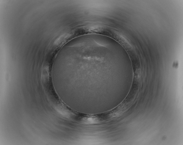 X0000091290506200708101249