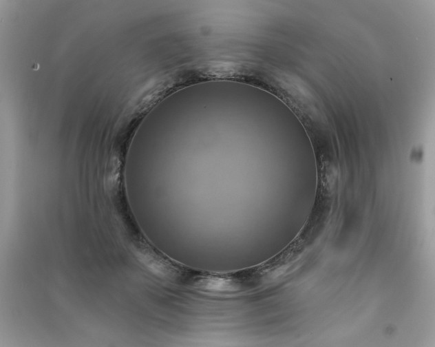 X0000091290507200708101249