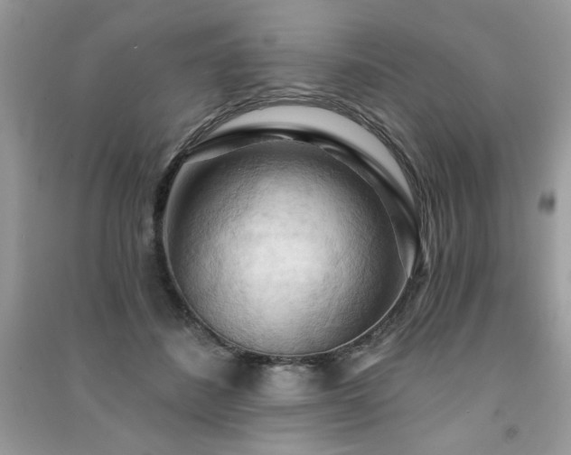 X0000091290508200708101249