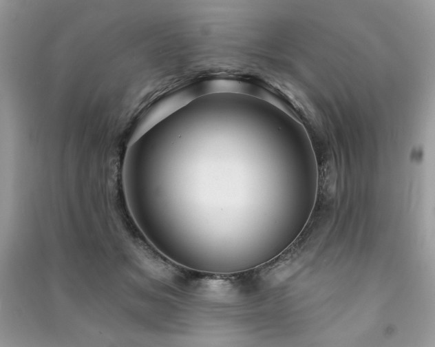 X0000091290509200708101249