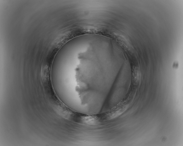 X0000091290511200708101249