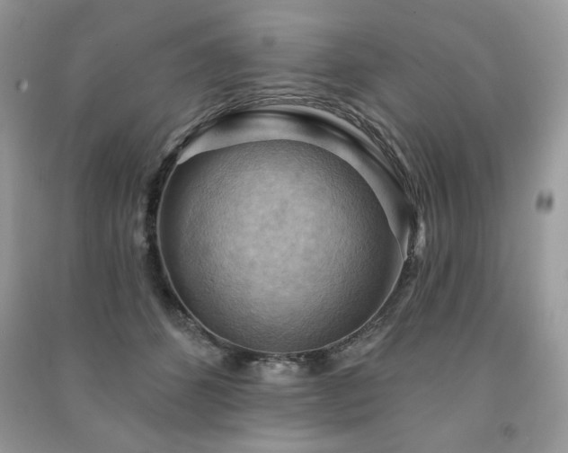 X0000091290512200708101249