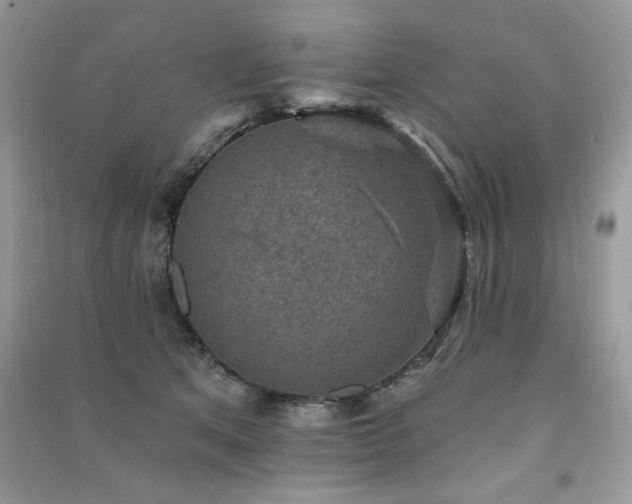 X0000091290513200708101249