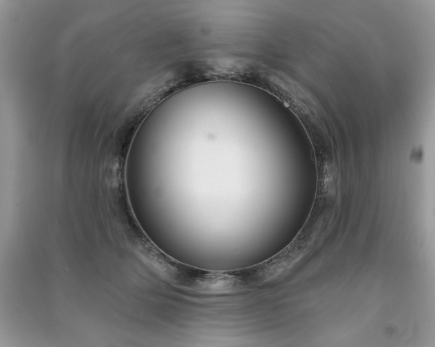 X0000091290514200708101249