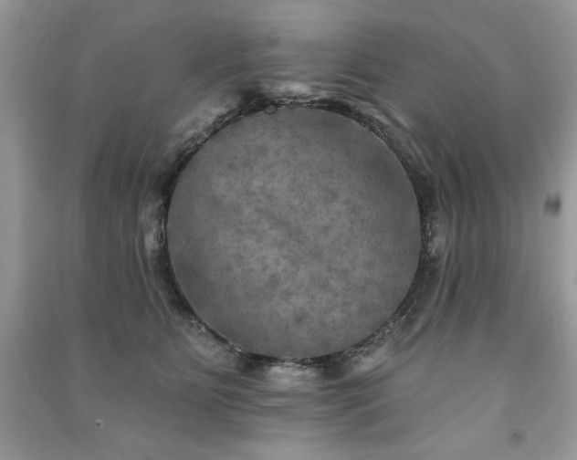 X0000091290515200708101249