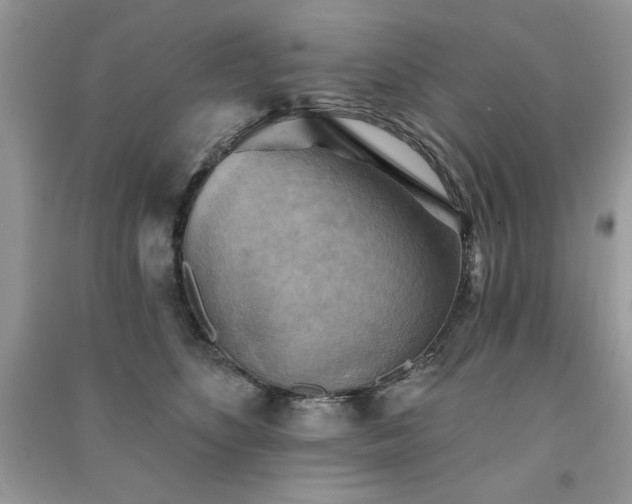 X0000091290516200708101249