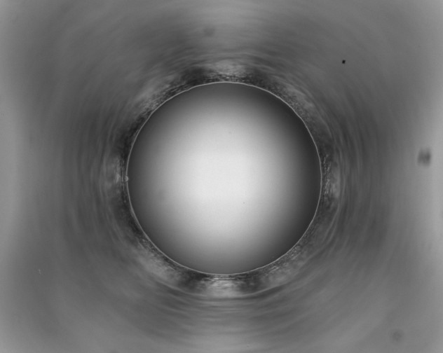 X0000091290518200708101249