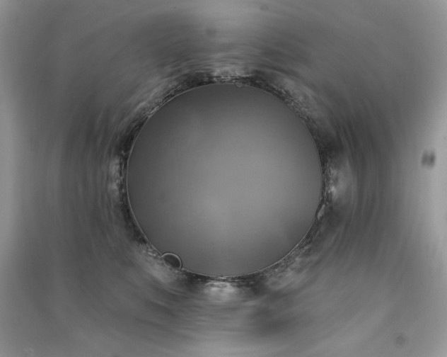 X0000091290519200708101249