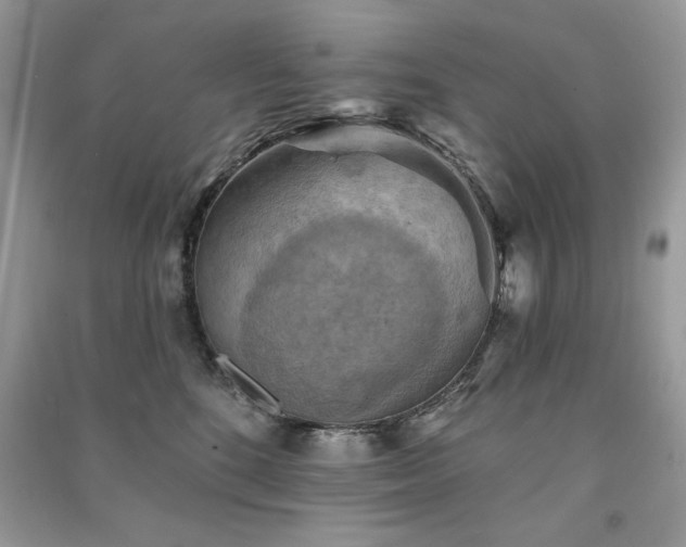 X0000091290520200708101249