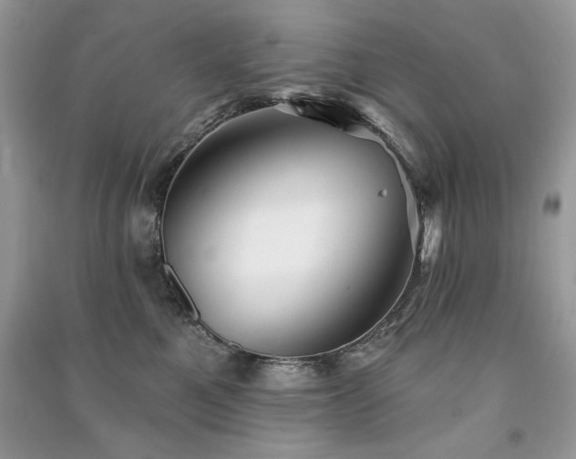 X0000091290521200708101249