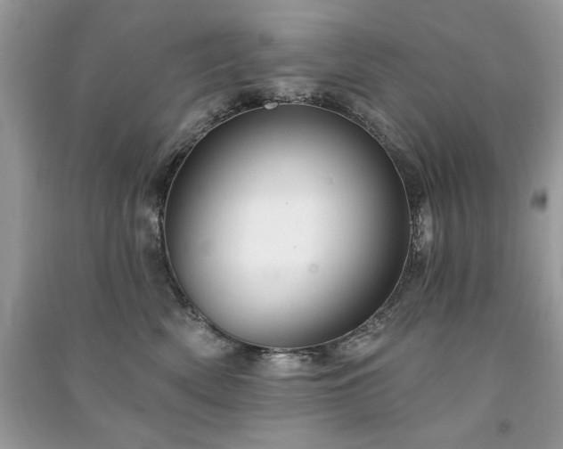 X0000091290522200708101249