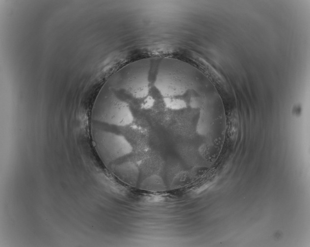 X0000091290523200708101249