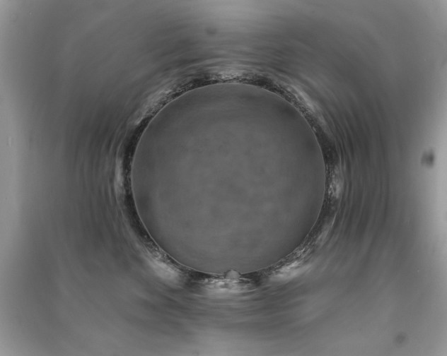 X0000091290524200708101249