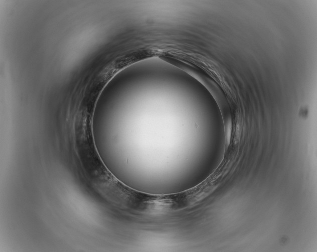 X0000091290525200708101249