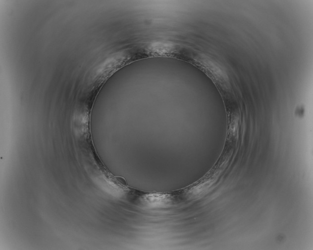 X0000091290526200708101249